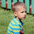 Az Ebuló Kutyaiskola interaktív kutyás bemutatója a Pillangó óvodában (Fotó: Stipkovits Veronika)