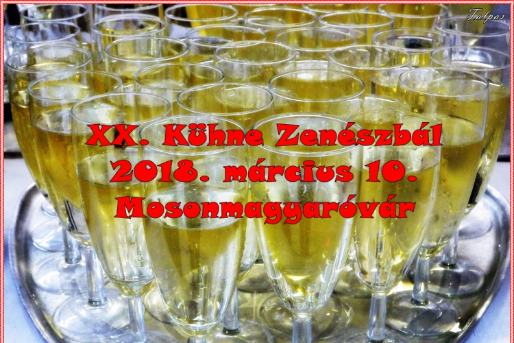 XX. Kühne Zenészbál