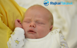 Fördős Ádám, Mosonmagyaróvár