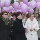 Egészség Hídja Összefogás - Lajtahidi séta