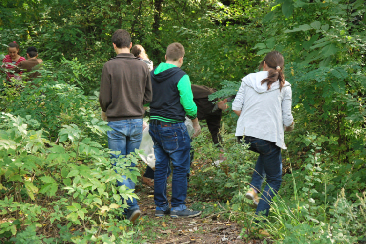 Szemétszedés a Kiserdőben (Fotó: Nagy Mária)