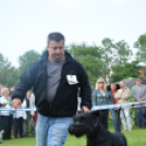 CAC kutyakiállítás (Fotó: Nagy Mária)