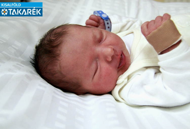 Bauer Norbert István András, Mosonmagyaróvár