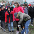 Kőrisfacsemetéket ültettek a diákok a Nolato Magyarország Kft telephelyén