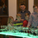 A Magyar Kultúra Napja 2018 a Cselley-házban