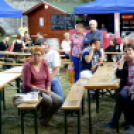 XI.Szigetköz ízei, Vármegye borai Fesztivál 1. nap