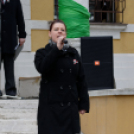 2015. MÁRCIUS 15. Mosonmagyaróvár (Fotó: Horváth Attila)