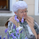 KULT-UTCA - Egészségnap másképp