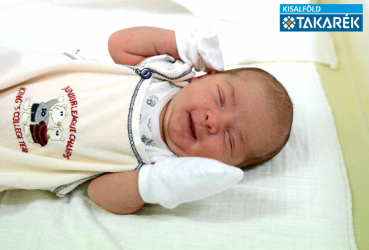 Fazekas Lana, Halászi