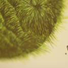 Kis Világok - Nagy Judit grafikus kiállítás megnyitója (Fotó: Nagy Mária)