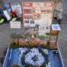 VII. Apró kezek, csodakertek Gyermek Kertépítő verseny