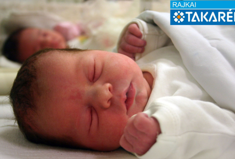 Szaló Rozina, Halászi