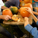 X. Jánossomorjai Tökfesztivál (Fotó: Horváth Attila)