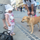 Kult-Utca fesztivál (Fotó: Nagy Mária)