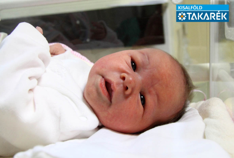 Tankó Zselyke, Mosonmagyaróvár