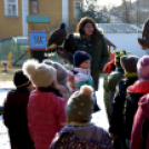 Madaras nap a Pillangó Óvoda és Mini Bölcsődében 