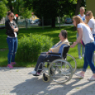 Faültetés az Idősök otthonában