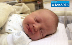 Fodor Benjámin, Osli