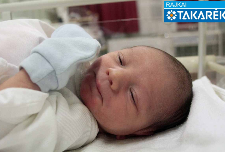 Schneider Noel, Mosonmagyaróvár