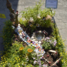 VII. Apró kezek, csodakertek Gyermek Kertépítő verseny