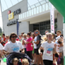 XV. Greiner Szigetköz Félmaraton