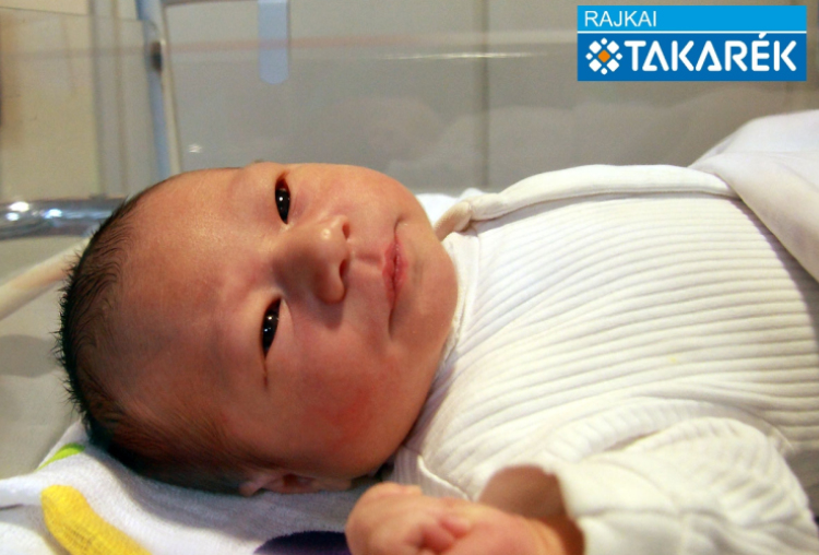 Szemenyei Ábel, Mosonmagyaróvár