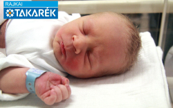 Szalay Levente, Csorna