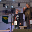 Szigetköz ízei, Vármegye borai Fesztivál (vasárnap) (Fotó: Horváth Attila)