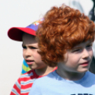 Az Ebuló Kutyaiskola interaktív kutyás bemutatója a Pillangó óvodában (Fotó: Stipkovits Veronika)