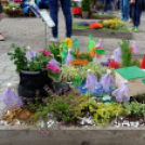 Apró kezek, csodakertek kertépítő verseny (Fotó: Horváth Attila)