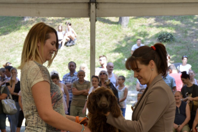 XII. Szigetköz ízei, Vármegye borai Fesztivál 3. nap