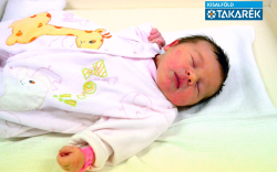 Németh Liza, Darnózseli