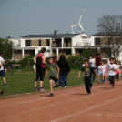 XV. Greiner Szigetköz Félmaraton