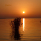 Tilai Gergely - Kerekesszéktől az önálló fotókiállításig