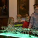 A Magyar Kultúra Napja 2018 a Cselley-házban