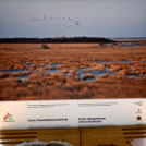 III. Szigetközi Gyógynövénynap megnyitó