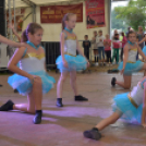 Szigetköz ízei, Vármegye borai Fesztivál (vasárnap) (Fotó: Horváth Attila)