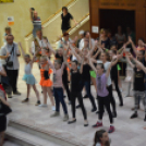 Nyárcsalogató (Fotó: Nagy Mária)