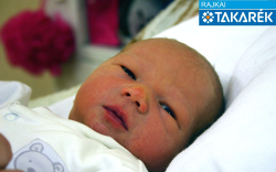 Diós Krisztián, Mosonmagyaróvár