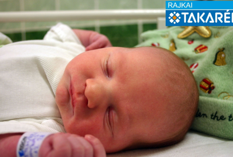 Mesterházi Barnabás, Dunasziget