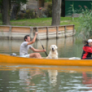 Nyárbúcsúztató Fesztivál (Fotó: Nagy Mária)