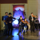 Fölszállott a páva 2016 döntő