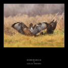 A Mosonmagyaróvári Fotó Egyesület online kiállítása