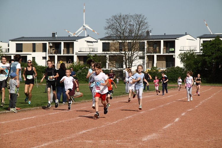 XV. Greiner Szigetköz Félmaraton