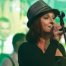 Nyári Fesztivál – Szent István Napok 2017 - Moson Big Band koncert