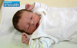 Katona Áron, Mosonmagyaróvár