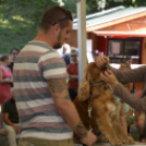 XII. Szigetköz ízei, Vármegye borai Fesztivál 3. nap