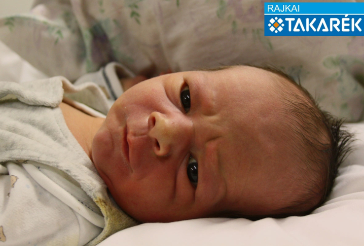 Pócsi Dominik, Mosonmagyaróvár