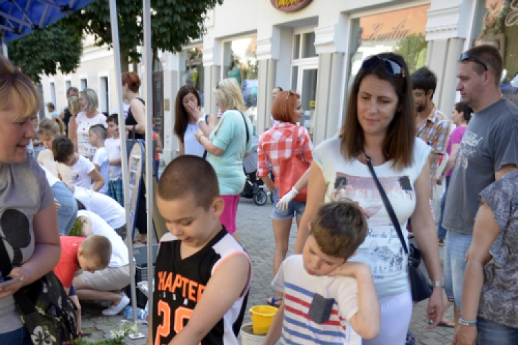 VII. Apró kezek, csodakertek Gyermek Kertépítő verseny