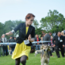 CAC kutyakiállítás (Fotó: Nagy Mária)